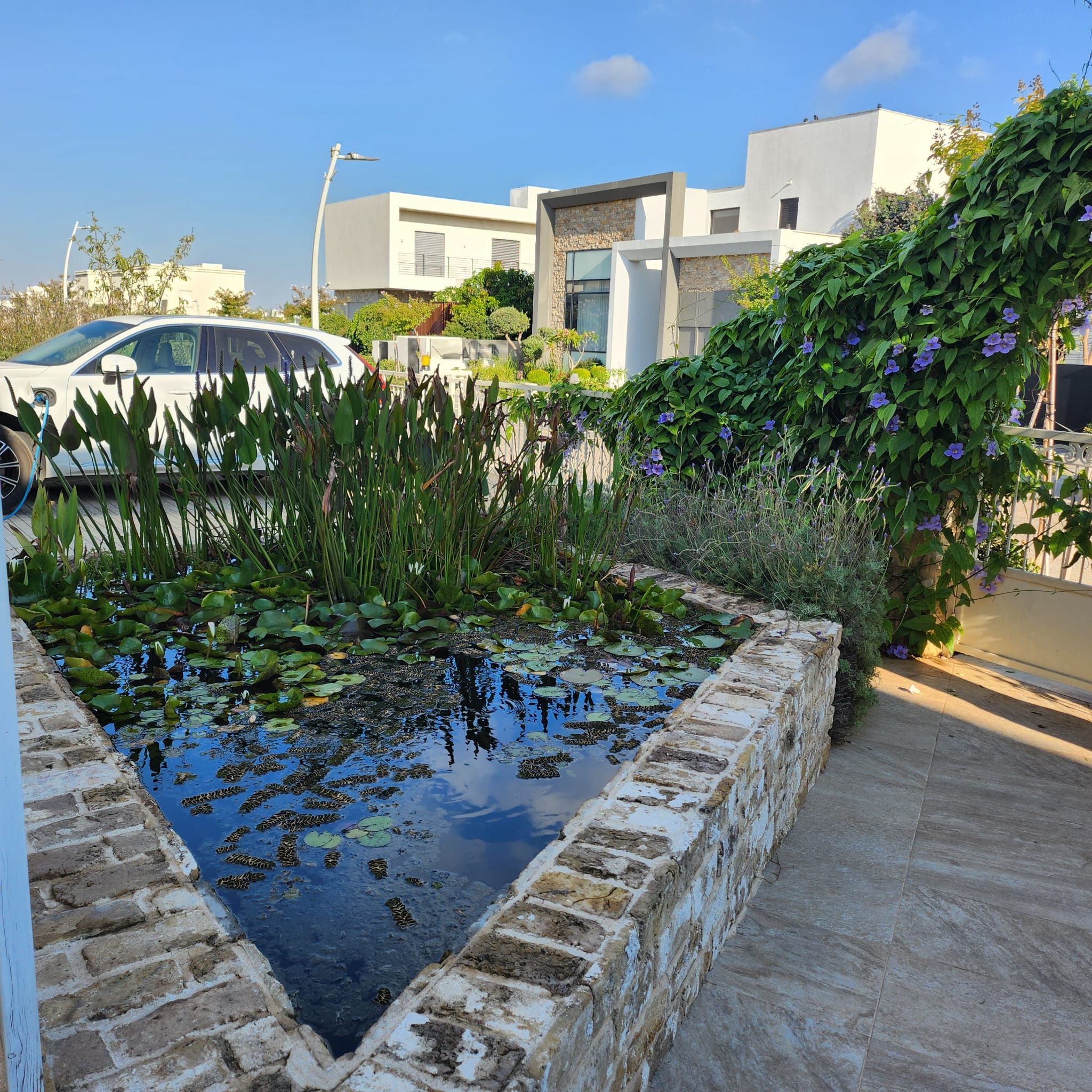 חזית – זוית נוספת