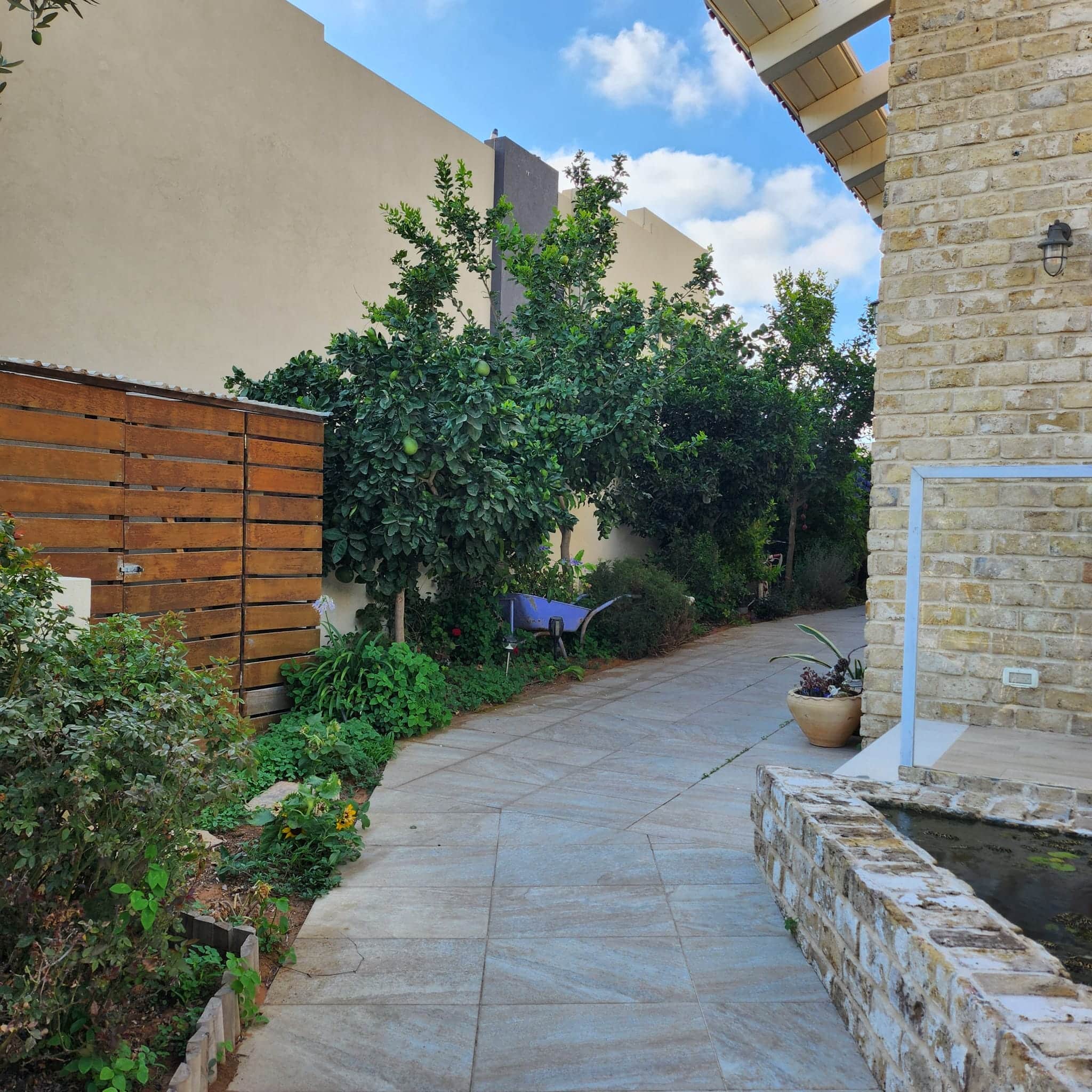 חזית – גינה קדמית