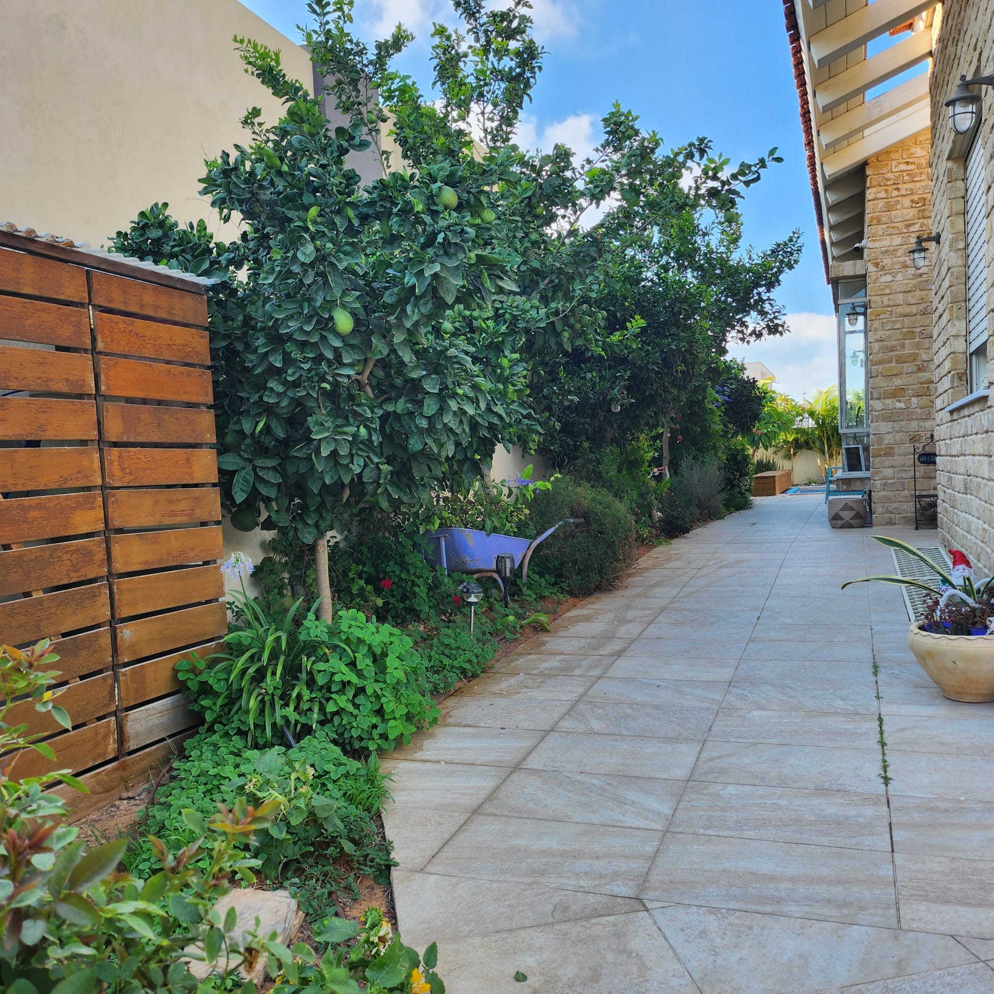 חזית – שער כניסה